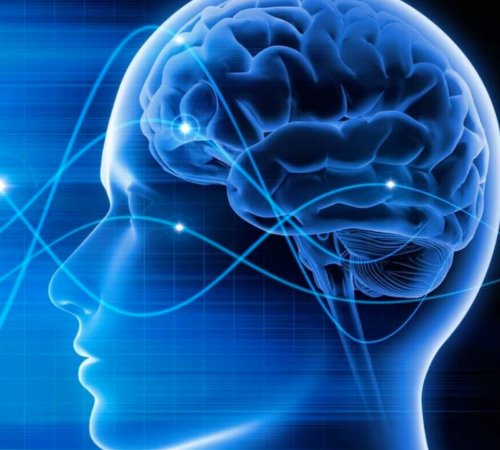 Нейропсихология