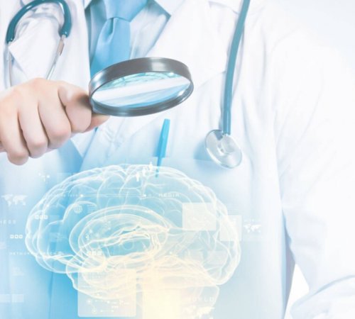 Основы неврологии