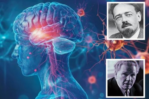 Забытые основатели - как советская физиология открыла будущее нейронауки